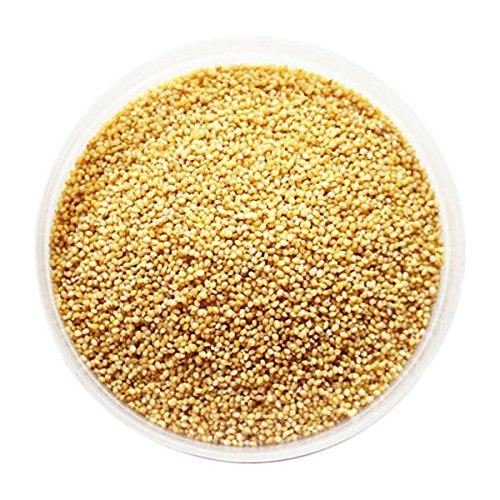 Fox Tail Millet Seeds - 100g
